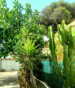Iriza's Relax House